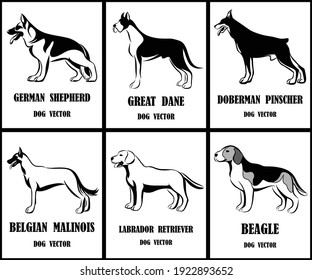 Line art vector illustration of various dogs such as German Shepherd, Great Dane, Dobermann, Belgian Malinois,  Labrador Retriever and beagle. a set of six pictures. svg