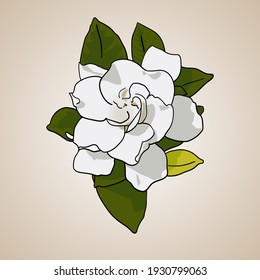 line art vector image of gardenia flower (local people often call it jempiring flower