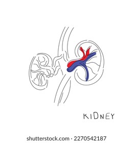 Vector de arte de línea. Concienciación sobre las enfermedades del riñón, art.