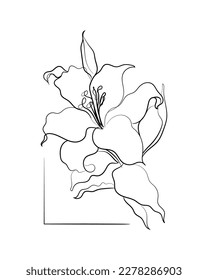 Line art vector of Lily. Lily flower abstract art.