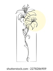 Line art vector of Lily. Lily flower abstract art.