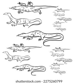 el vector de arte de línea de la lagartija de monitorado