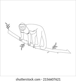 line art  Vector monkey, illustration coloring page of happy monkey for children.