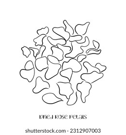 Vector de arte de línea de iconos de fabricación de papel. Iconos hechos a mano por la industria del papel.
