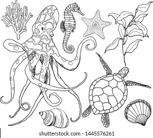 Line art vector set with octopus and underwater life. Hand painted seahorse, turtle, coral, starfish and shell isolated on white background. Aquatic outline illustration for design, print, background.