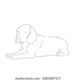 Line art vector of smart dog. Vector dog.