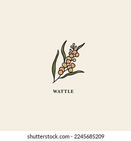 Line art vector wattle branch illustration