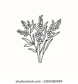 Line art vector wattle illustration