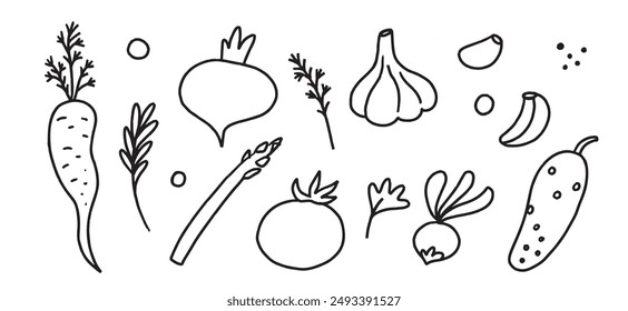 Line art vegetables hand drawn illustration. Black and white season vegetable linear set: tomato, cucumber, garlic, peas, spices, herbs, asparagus, radish