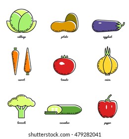 Line art vegetables icon set. Infographic elements. Vector illustrations
