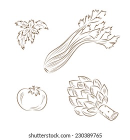 Line art Vegetables. Vector set of vegetables: basil, celery, tomato, artichoke