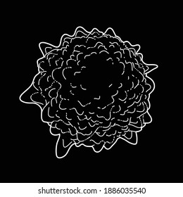 Line art virus on black background vector illustration bacteria and germs cancer microbial cells fungi