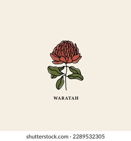 Line art waratah flower drawing