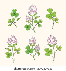 Line art watercolor set of clover branches with leaves and pink flowers. Happy St. Patricks Day