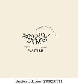 Line art watttle flower illustration