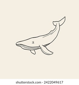 Line art whale illustration. Marine animal drawing