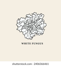 Line art white fungus drawing