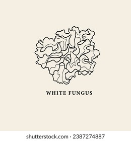 Line art white fungus illustration