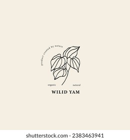 Line art wild yam branch illustration