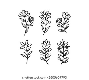 Line Art Wildflower Illustrations Black and White Color Vector Design on White Background