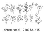 line art wildflowers, nature floral, botany design vector