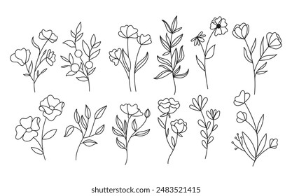 line art wildflowers, nature floral, botany design vector