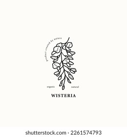 Line art wisteria branch illustration