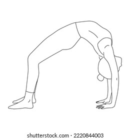 Line art of woman doing yoga in wheel pose vector.