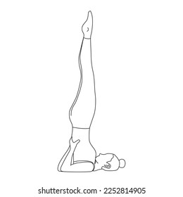 Line art of woman doing Yoga in shoulder stand pose vector.