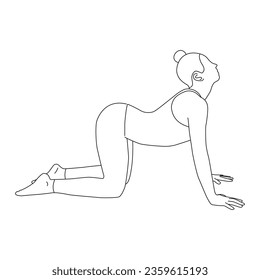 Line art of woman doing yoga in cow pose vector.