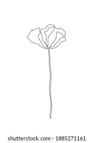 line art-Poppy flower Minimalist contour drawing. One line artwork,floral pattern for design linear art on a white background.