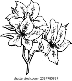 line arts of flowers suitable for print on demand and aesthetic decoration