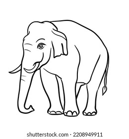 A line of Asian elephants walking with beautiful tusks.Isolated vector illustration on a white background.