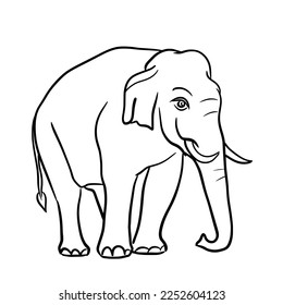 A line of Asian elephants walking with beautiful tusks.Isolated vector illustration on a white background.