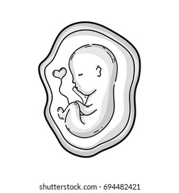 line baby with umbilical cord inside uterus