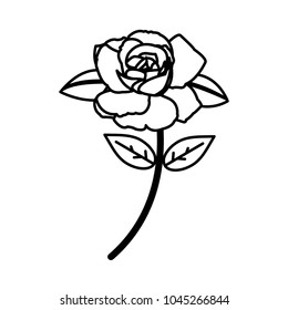 line beautiful rose with nature petals and leaves