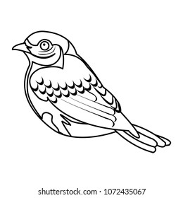 line beauty bird animal with plumage and wings