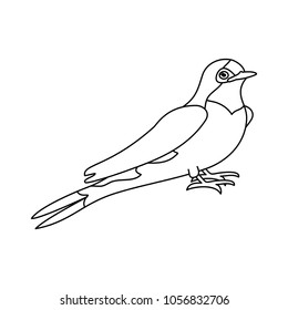 line beauty bird animal with wings and legs