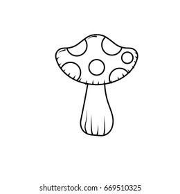 line beauty natural fungus plant icon