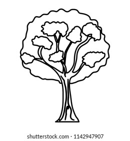 line beauty tree stalk with branches leaves