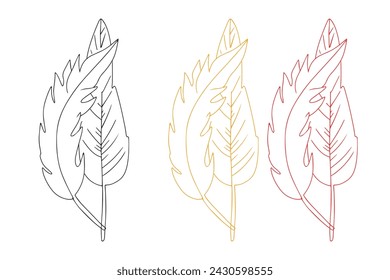 line bird feathers isolated on white background
