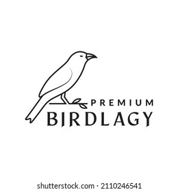 line bird with twig logo design, vector graphic symbol icon sign illustration