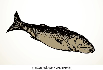 Line black ink hand drawn big raw simple lake Cyprinus carpio menu concept logo emblem old retro biblic Christ art doodle engrave cartoon print style. Closeup small wild sea shore bass still life view