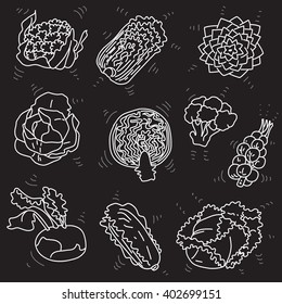 Line black set of cabbage. Vector illustration 