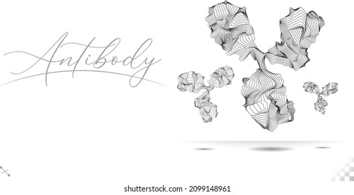 line blends BioScience Antibody immunoglobulin, molecule. Y-shaped molecules that bind to specific antigens viral or bacterial proteins. 