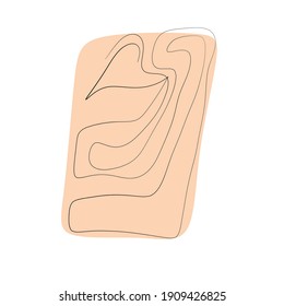 Line boho. Abstract Line Art boho. Abstract Plant Art design for print, cover, wallpaper, Minimal and natural wall art. Vector illustration.. Abstract Plant Art design for print, cover, wallpaper