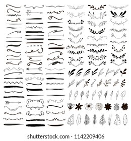 Bordures de ligne, séparateurs de texte et éléments de conception de laurier. Illustration vectorielle