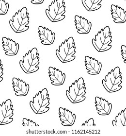 line botany cute leaf exotic background