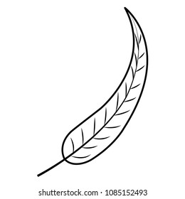 line botany leaf natural exotic style