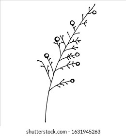 Line branch with berries isolated vector stock illustration. dried branch. fall berry branch.  Simple art illustration.